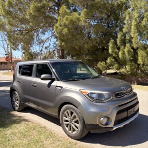 2017 Kia Soul + Wagon